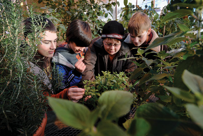 group of four grade-school-aged kids examining different plants in a greenhouse