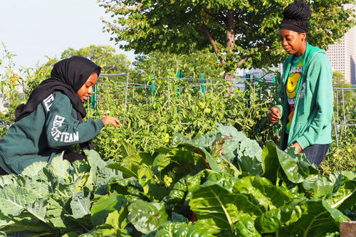 Leensa Ahmed and Jasmine Salter tend to produce for the Green Garden Bakery.